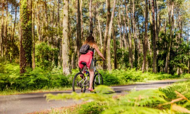 Parcourez la for&ecirc;t des Landes &agrave; partir de Biscarrosse, gr&acirc;ce &agrave; une location de v&eacute;lo chez Biscabike