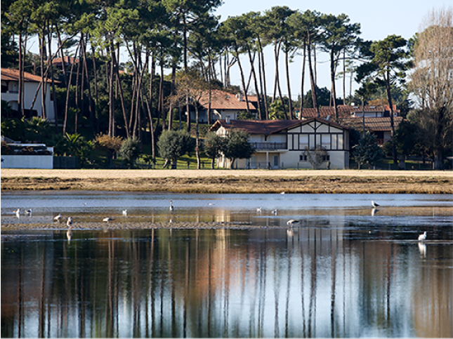 Une balade en v&eacute;lo le long d'un lac ou en bord de mer &agrave; Biscarrosse ?